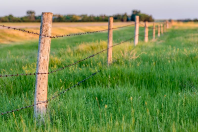 Electric Fence Installation