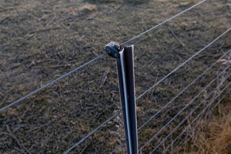 Electric Fence Installation