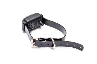 Electric Fence Installation