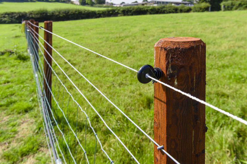 Electric Fence Installation